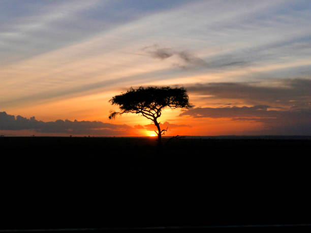 atardecer en el masai mara - masai mara national reserve sunset africa horizon over land fotografías e imágenes de stock