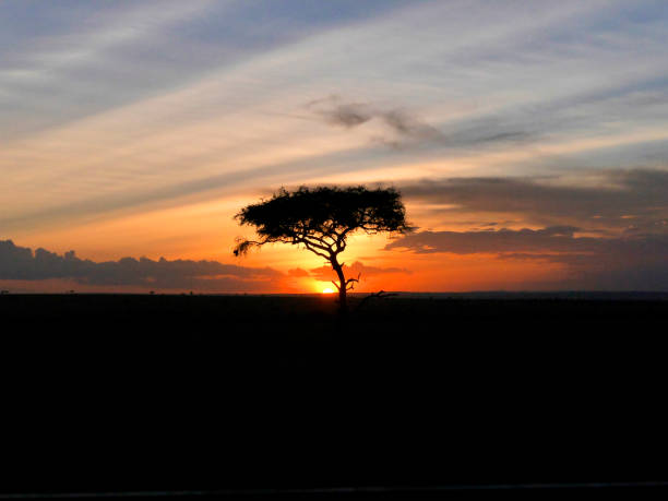 з�акат в масаи мара - masai mara national reserve sunset africa horizon over land стоковые фото и изображения