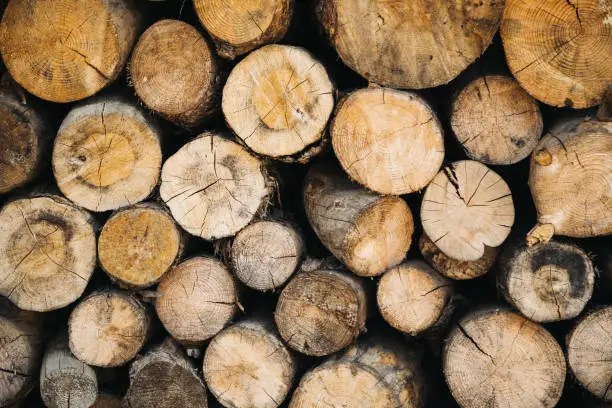Stack of firewood logs background