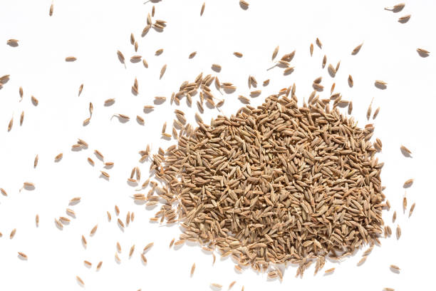 istock Cumin seeds or caraway isolated on white background 1196338484