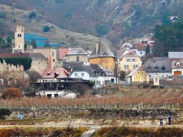 istock Vinyard and village - Wachau Valley - Austria 1196345555