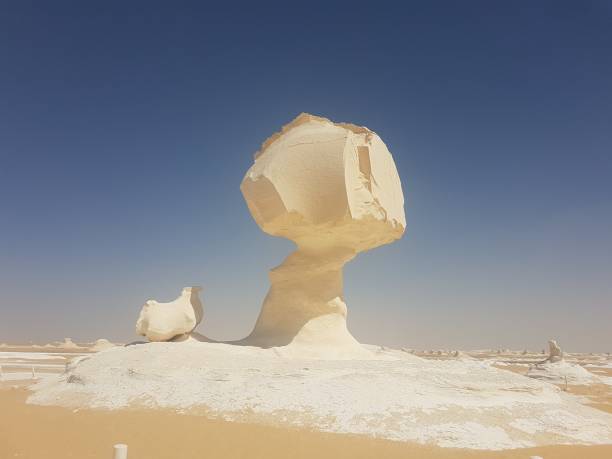 istock Egg & Chicken, Farafra (White Desert), a geological depression covered by chalk rock formations in Egypt 1196345644