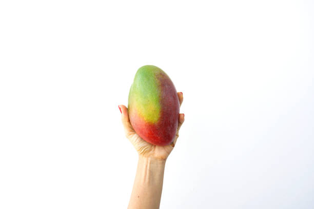 istock Fresh green mango in hand on isolated 1196348689