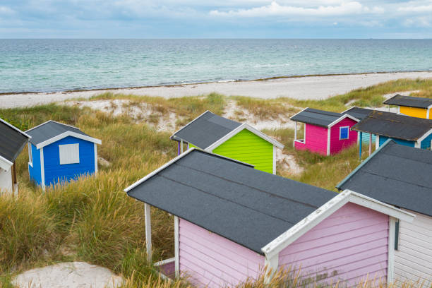 istock Beach in southern Sweden 1196348851