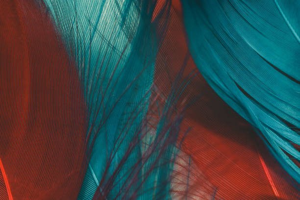 istock Close up Beautiful red and Aqua Menthe Bird feather pattern background for design texture. Macro photography view. 1196350132