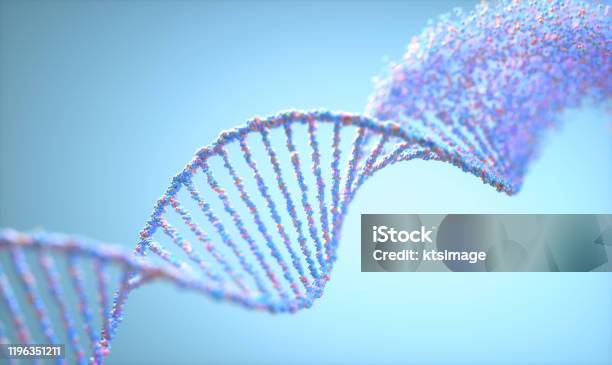 Oxidative Dna Damage Genetic Disorder Molecular Structure Stock Photo - Download Image Now