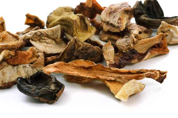 istock Dried mushrooms on white background 1196362211