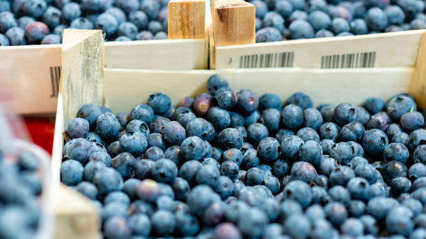 istock Boxes with fresh blueberries on the market - image 1196362434