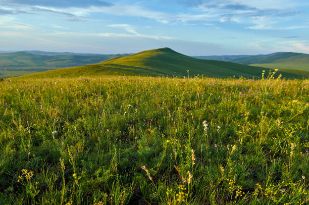istock Green steppes and hills on a summer day. 1196363392