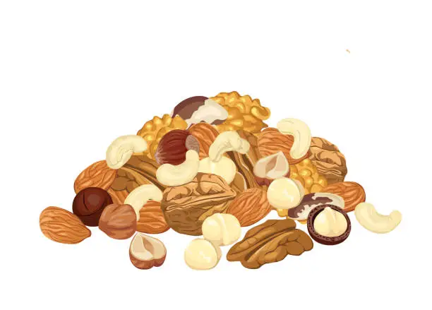 Vector illustration of Heap of different nuts isolated on white background. Pile of Almond, walnut, pecan, macadamia, cashew, brazil nut and hazelnut. Vector illustration of organic healthy food in cartoon flat style.