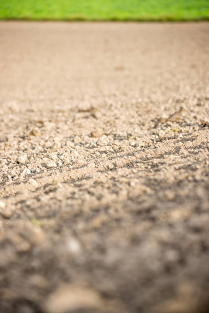 istock Cultivation of corn on a field, agriculture 1196366637
