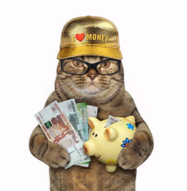 istock Cat holds piggy bank with rubles 1196372194