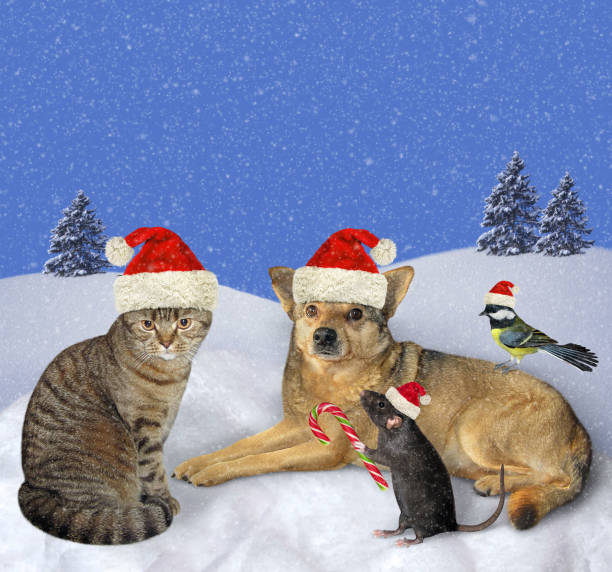istock Animals in winter forest 3 1196372297