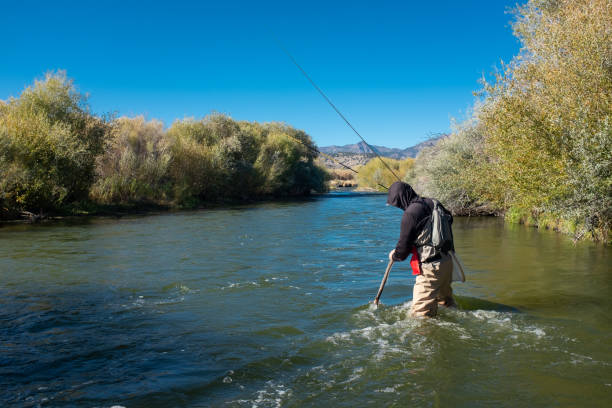 istock Fly Fisherman Wading Across A High River 1196374371