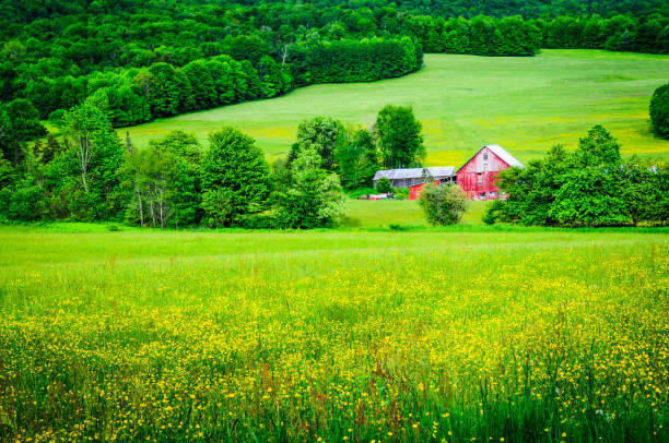 istock Red Barn in the Valley 1196383243