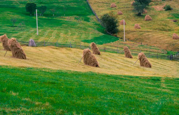 High-altitude fields with typical open-air hayfields. Ukraine