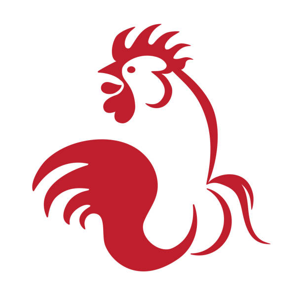 red rooster cock icon logo graphic Rooster cock red color graphics on white icon, symbol phallic object stock illustrations