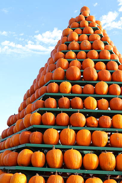 Pumpkin display stock photo