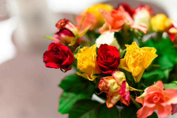 istock Buch of roses 1196388282