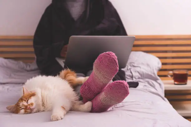 Photo of Unrecognized woman checking email news online in bed, warming up her feet with woolen socks in winter.