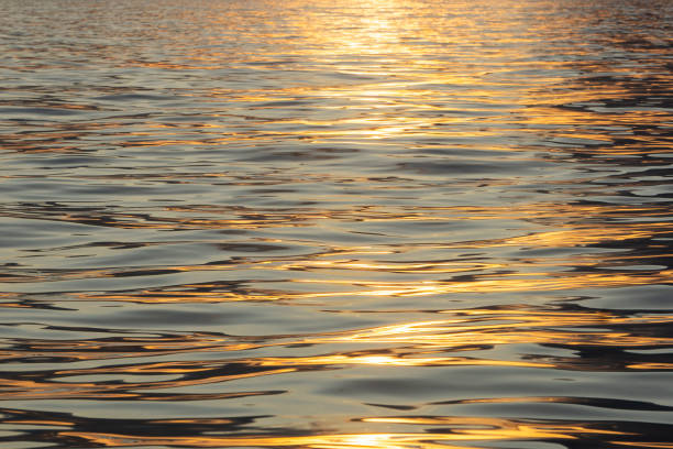 istock the Golden Sea 1196390555