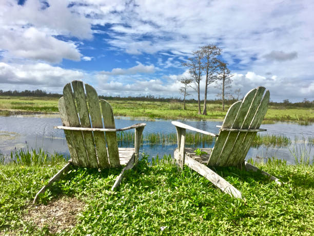 istock day chairs in swamp 1196390616