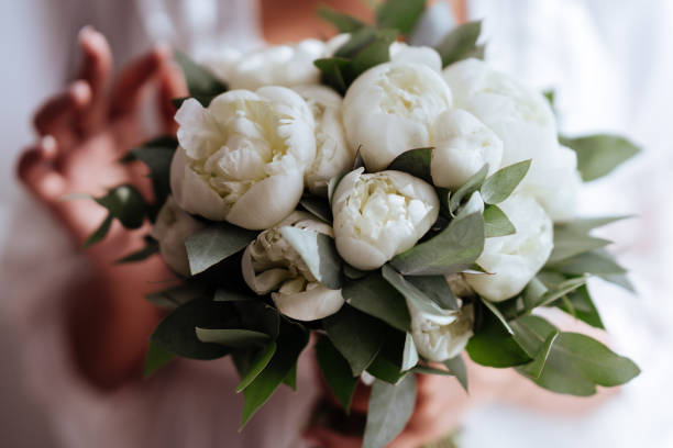 nahaufnahme bild von einem schönen und stilvollen hochzeitsstrauß von weißen pfingstrosen. - single flower close up flower head rose stock-fotos und bilder