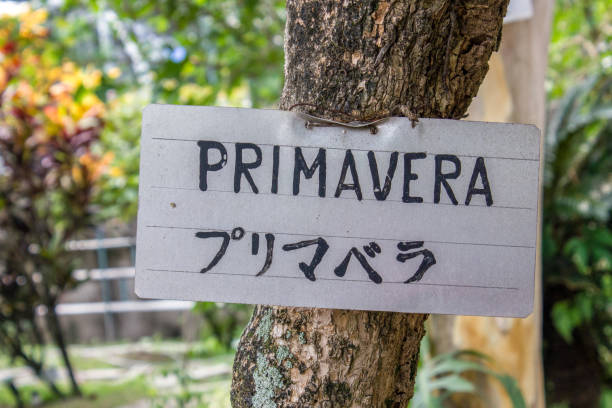 istock Tree with sign written Spring in Rio de Janeiro 1196392128