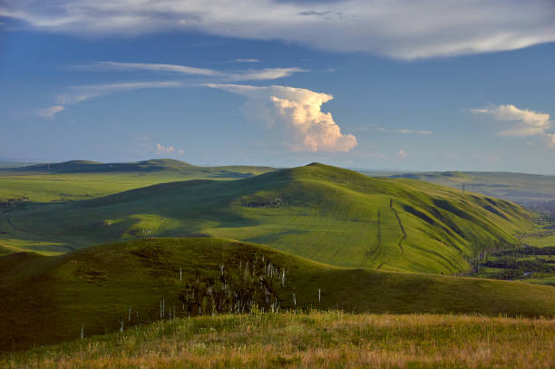 istock Distant green hills and flowering stapes. 1196392491