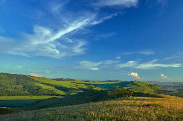 istock Distant green hills and flowering stapes. 1196392589