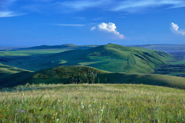 istock Distant green hills and flowering stapes. 1196393135