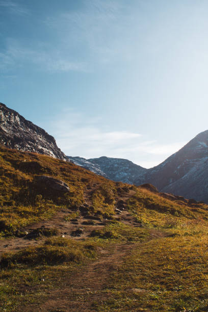 istock Path going through the mountains in Sweden 1196393712