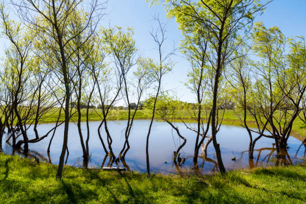 istock Texas Hill Country 1196397418