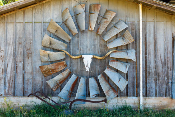 art de grange du texas - animal skull horned wild west skull photos et images de collection