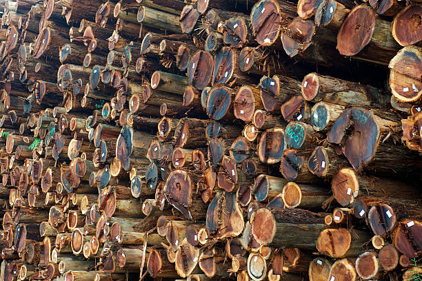 Stacked Redwood Lumber stock photo