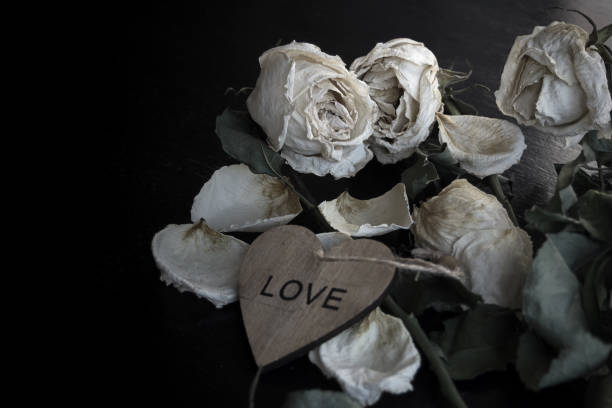 istock the concept of a broken heart 1196400617