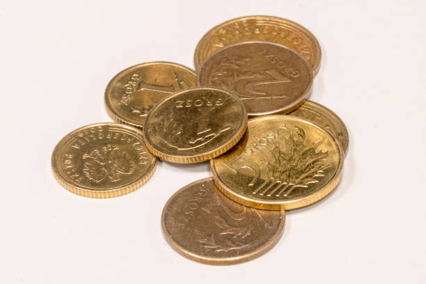 istock Few polish small value coins (grosz) money. 1196401641