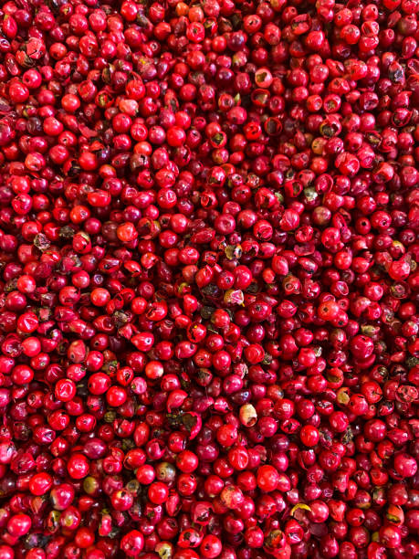 istock Red berries, top view. Background of wild red berries. 1196405336