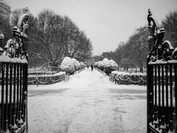 istock Boston Public Garden Gates in Snow 1196406282