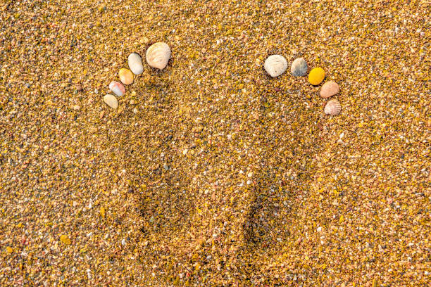 huellas de conchas marinas en la playa. huellas en la arena. marcas de pie en la playa de arena con la concha marina. descansar por el concepto de mar. salud de los pies y los pies. procedimiento de pies y pies - sand footprint track following fotografías e imágenes de stock