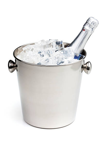 istock Champagne bottle in ice bucket 119641831