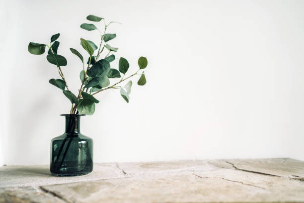 rama árbol verde puesto en jarrón de vidrio negro en el estante de la chimenea de piedra natural en el fondo de la pared de color blanco iluminado con luz de ventana lateral. acogedor elementos de decoración del hogar concepto imagen. - jarrón fotografías e imágenes de stock