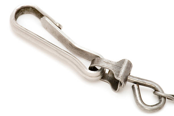 istock dog leash close up 119642126