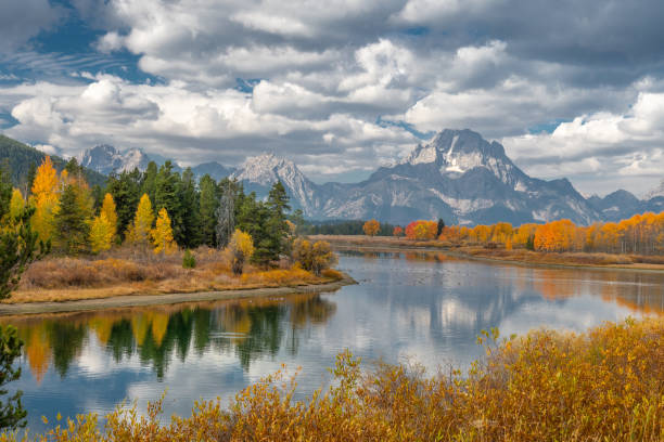 istock Alpine lake and colorful trees with reflection and mountain landscape 1196423219