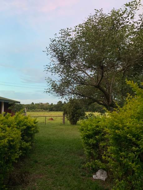 istock Rural zone in Posadas Misiones Argentina 1196426812