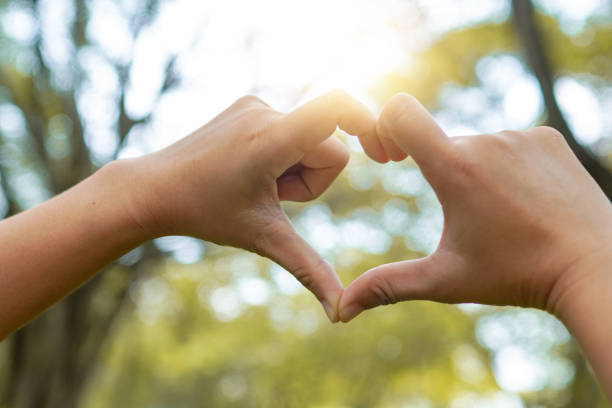 istock Close up hand heart shape in park 1196432238