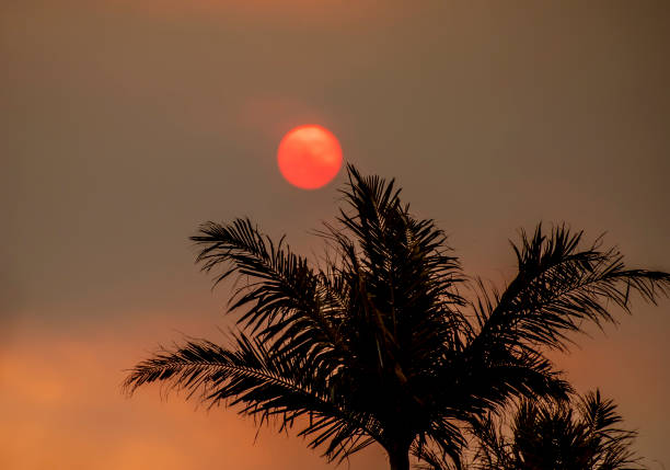 istock Sun engulfed in smoke and dust 1196433601