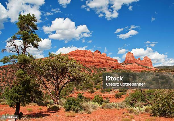 Scenic Red Sandstone From Arizona Stock Photo - Download Image Now - Arizona, Cactus, Color Image