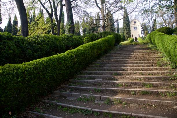 istock Stairs in the garden 1196436435