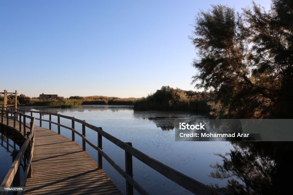 Azraq Wetland Reserve The Azraq Wetland Reserve is a nature reserve located near the town of Azraq in the eastern desert of Jordan Jordan - Middle East Stock Photo
